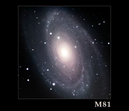 M81