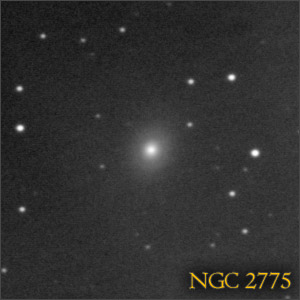 NGC 2775