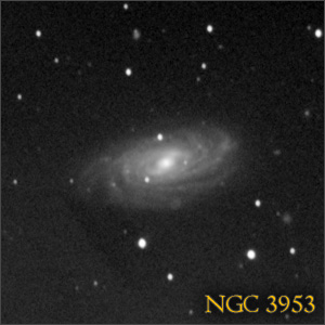 NGC 3953